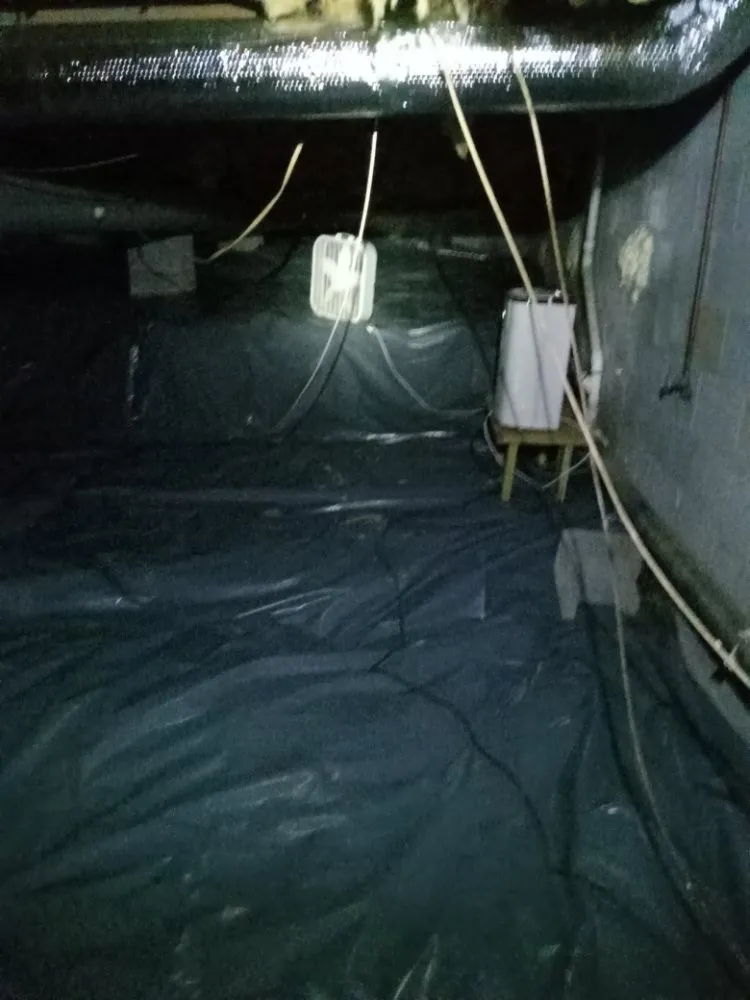 Trusted yard maintenance experts serving Woodstock, GA - Creepy Crawling Remediation