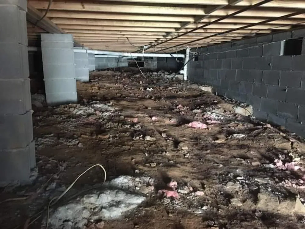 Top-rated landscape design experts serving Woodstock, GA - Creepy Crawling Remediation