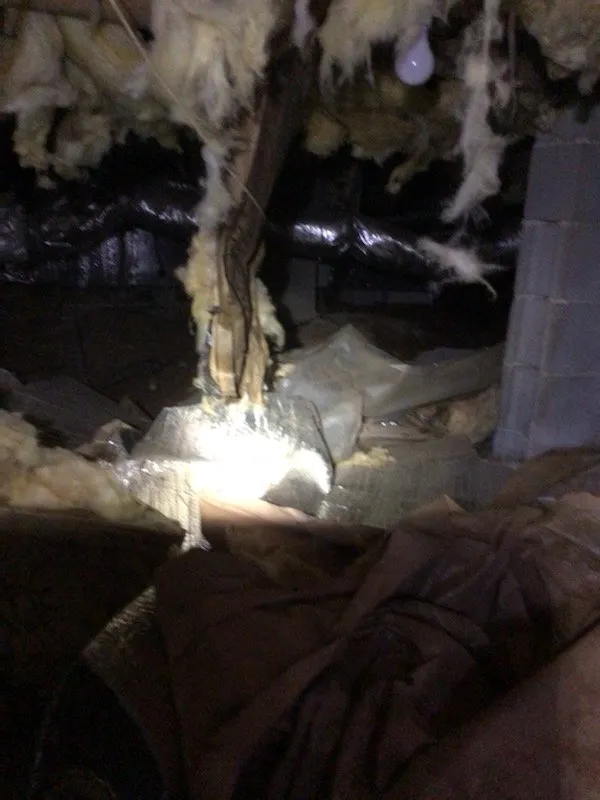 Top-rated lawn care service for residential properties in Woodstock, GA by Creepy Crawling Remediation