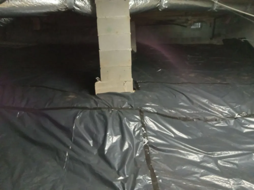 Affordable landscape design in Woodstock, GA - Creepy Crawling Remediation