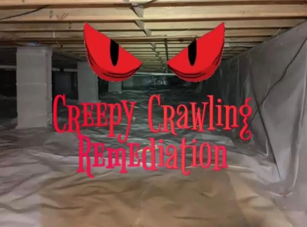 Top-rated yard maintenance near you in Woodstock, GA by Creepy Crawling Remediation