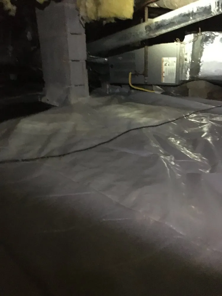 Affordable residential landscaping experts serving Woodstock, GA - Creepy Crawling Remediation