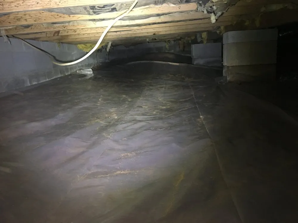 Expert landscaping services for year-round maintenance in Woodstock, GA by Creepy Crawling Remediation