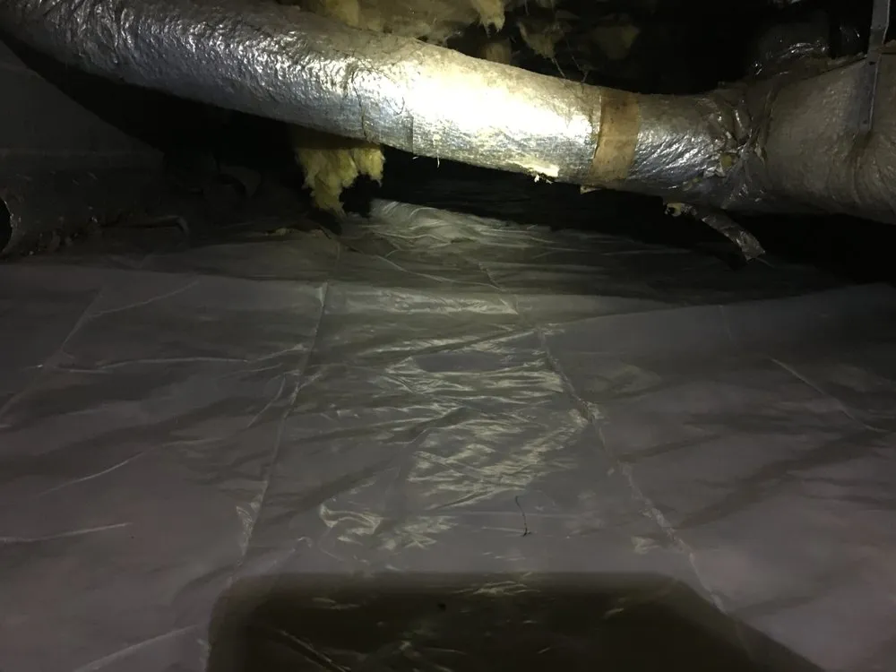 Professional outdoor landscaping experts serving Woodstock, GA - Creepy Crawling Remediation