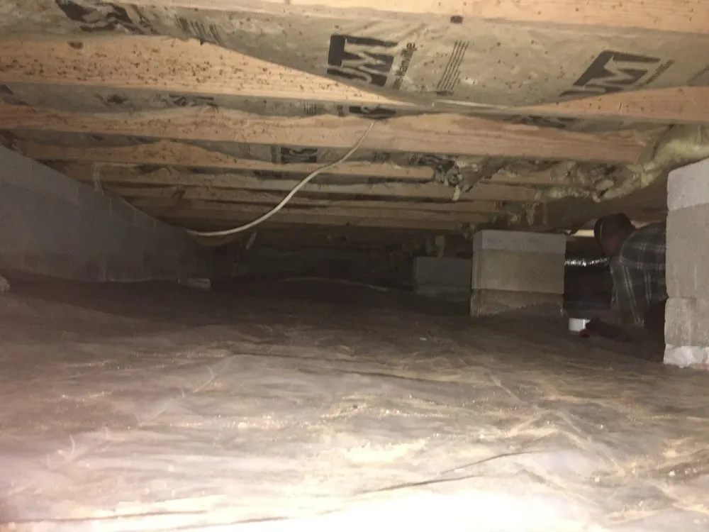 Trusted residential landscaping experts serving Woodstock, GA - Creepy Crawling Remediation