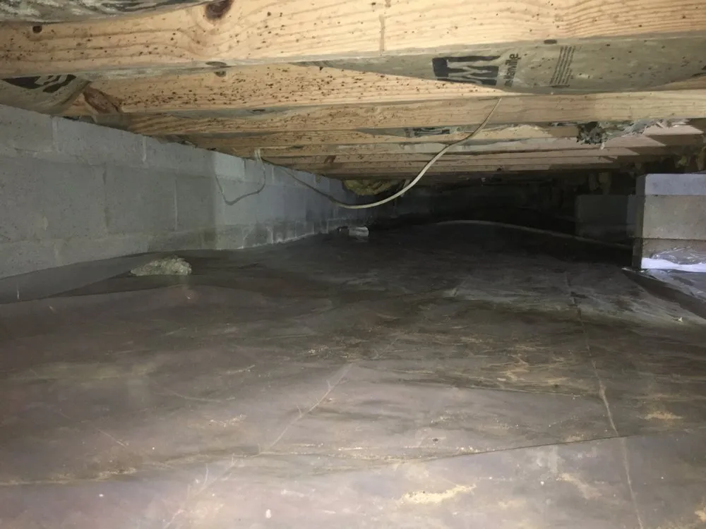 Reliable lawn mowing service in Woodstock, GA - Creepy Crawling Remediation