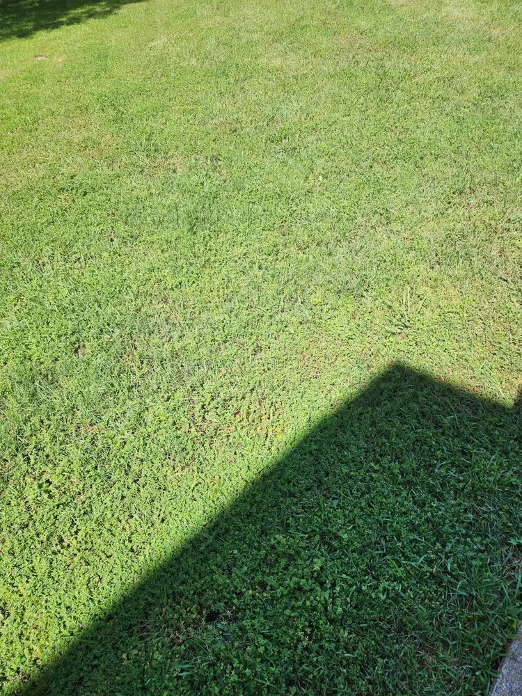 Trusted lawn mowing service in Longview, TX by Creole Cuts Lawncare