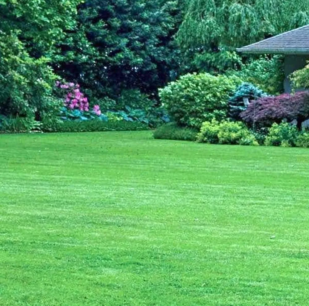 Trusted garden landscaping experts serving Longview, TX - Creole Cuts Lawncare