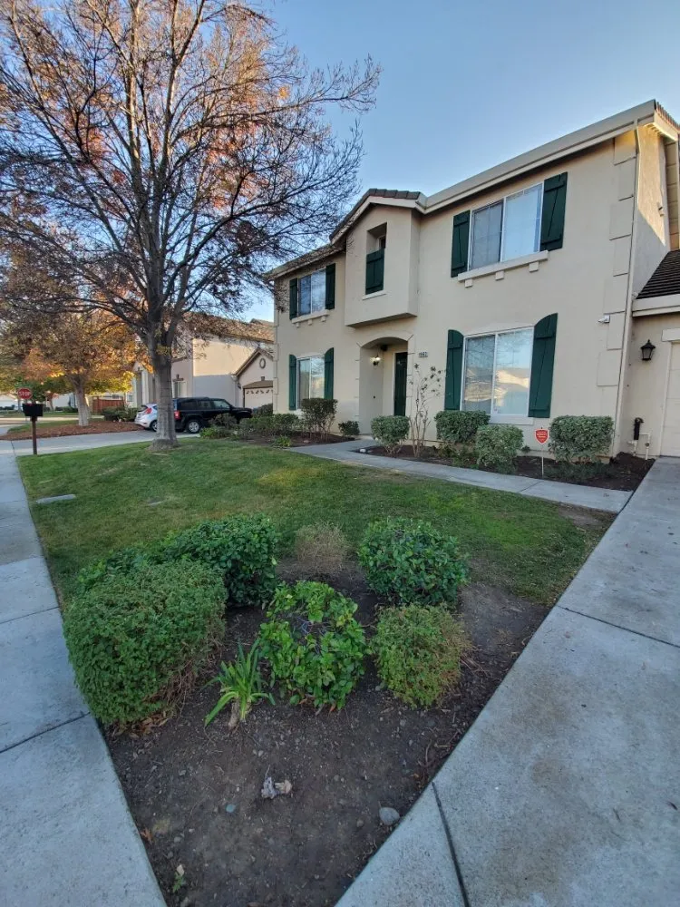 Trusted landscaping services in Walnut Creek, CA - Crescencio's Gardening And Landscaping