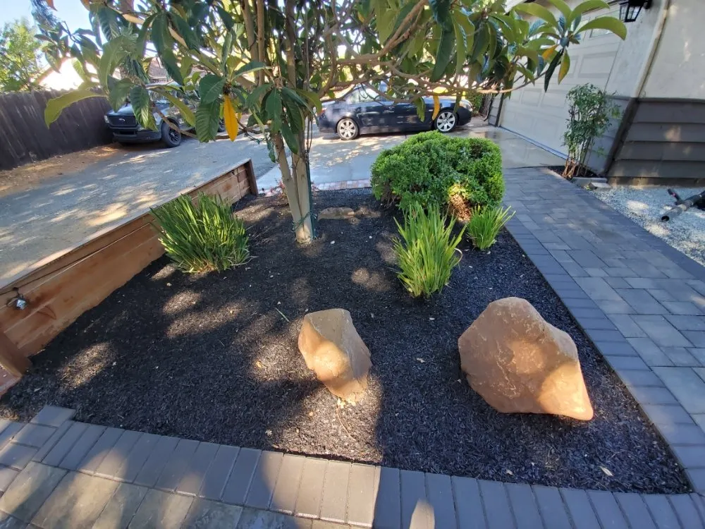 Top-rated outdoor landscaping for homes in Walnut Creek, CA by Crescencio's Gardening And Landscaping