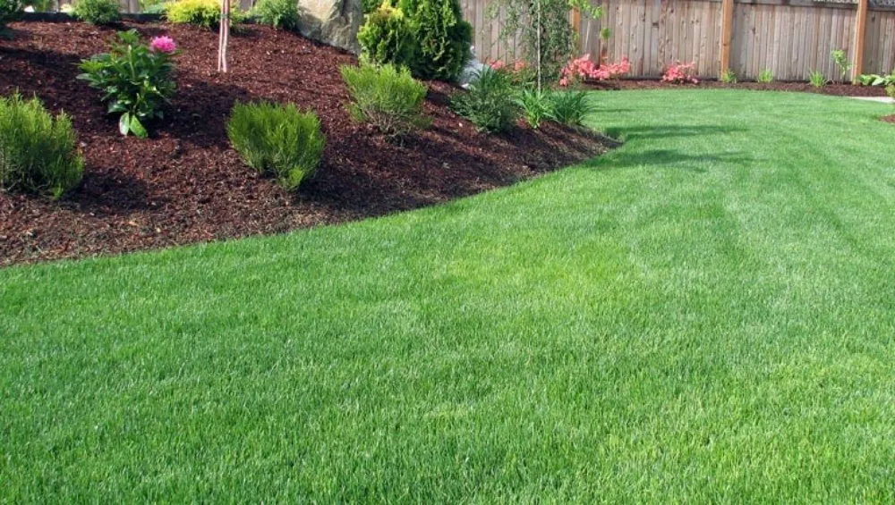 Trusted yard maintenance experts serving Walnut Creek, CA - Crescencio's Gardening And Landscaping