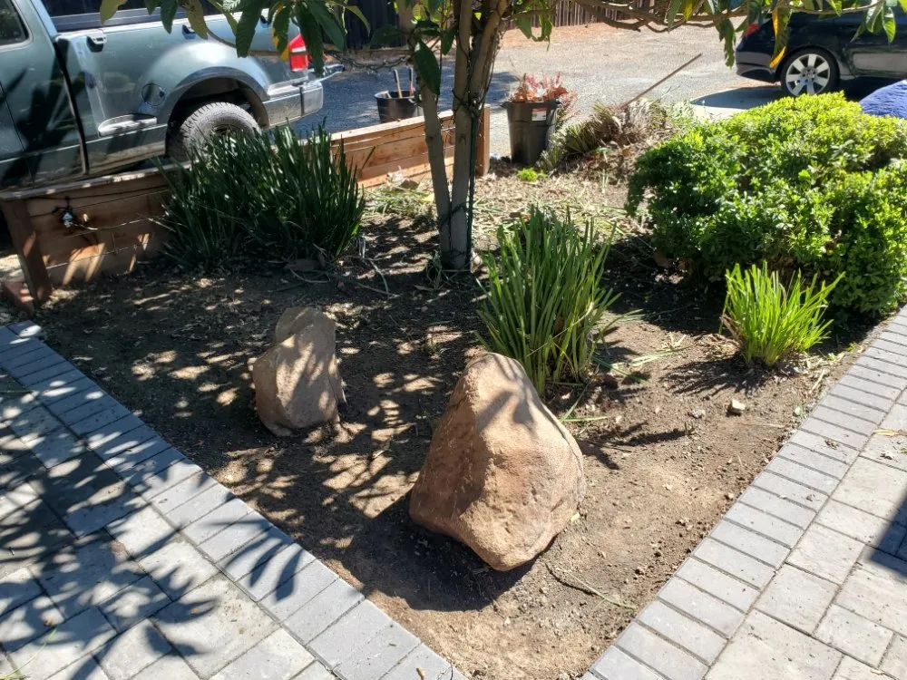 Custom lawn care service for outdoor upgrades in Walnut Creek, CA by Crescencio's Gardening And Landscaping