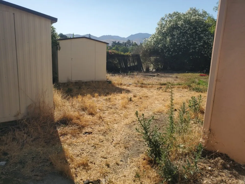 Professional outdoor landscaping for homes in Walnut Creek, CA by Crescencio's Gardening And Landscaping