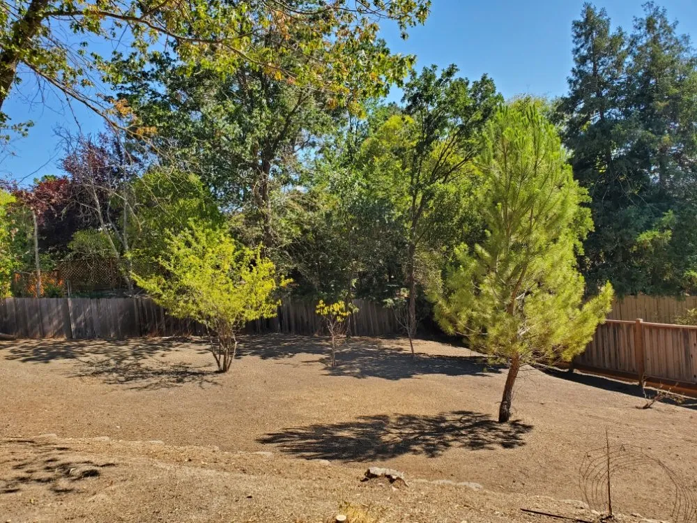 Reliable residential landscaping experts serving Walnut Creek, CA - Crescencio's Gardening And Landscaping