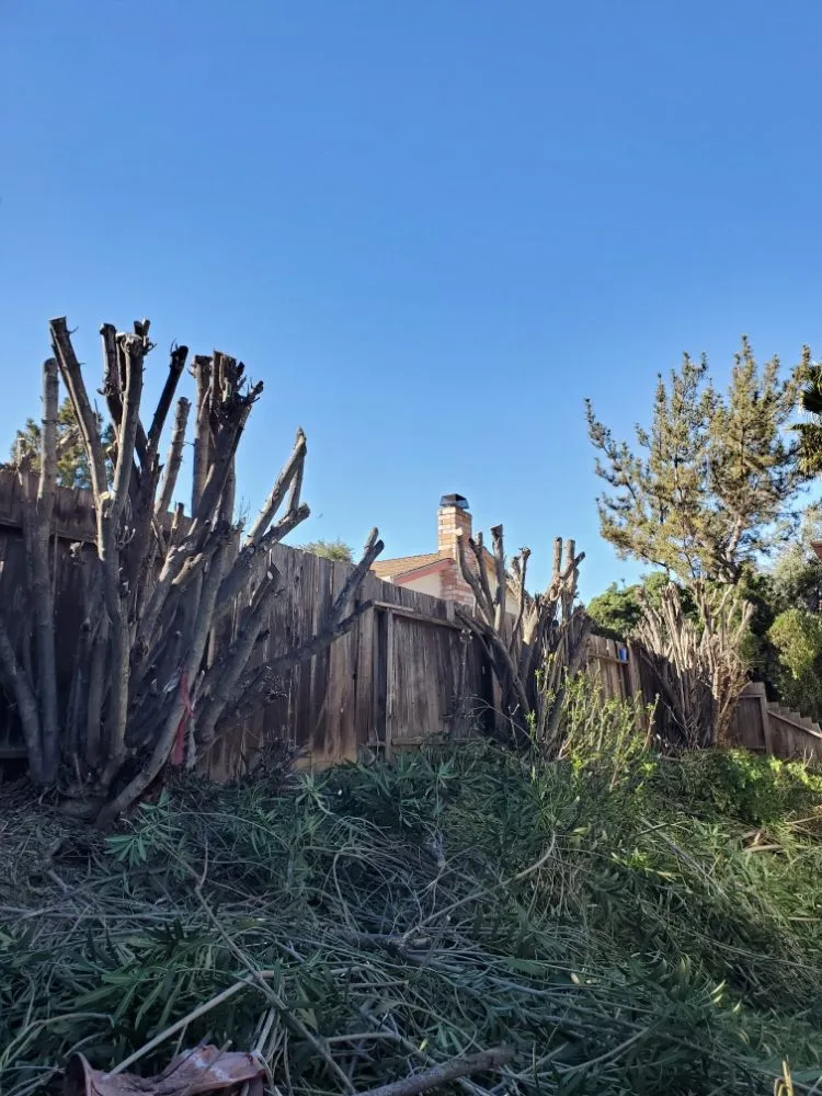 Professional landscape installation experts serving Walnut Creek, CA - Crescencio's Gardening And Landscaping