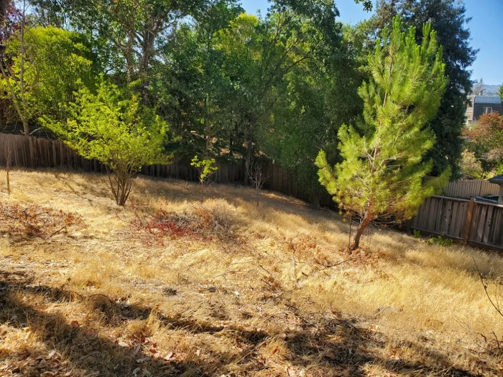 Professional landscaping services experts serving Walnut Creek, CA - Crescencio's Gardening And Landscaping