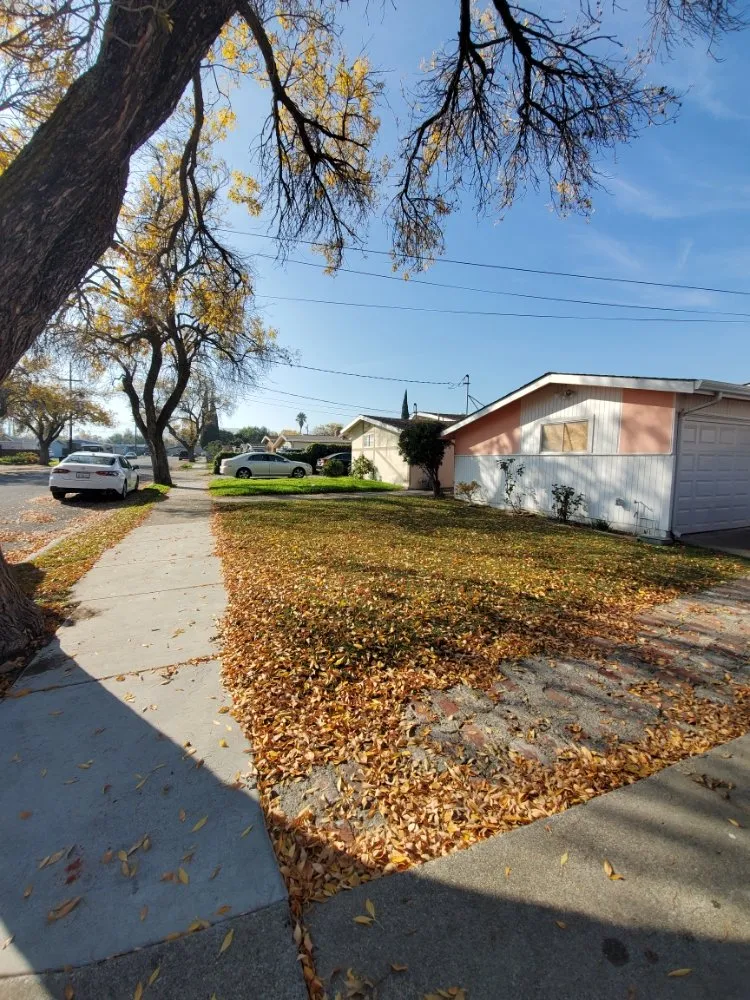 Professional outdoor landscaping near you in Walnut Creek, CA by Crescencio's Gardening And Landscaping