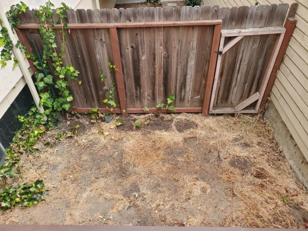 Trusted lawn care service in Walnut Creek, CA - Crescencio's Gardening And Landscaping