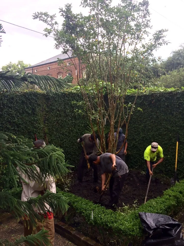 Trusted landscape design in Metairie, LA by Crescent City Landscaping