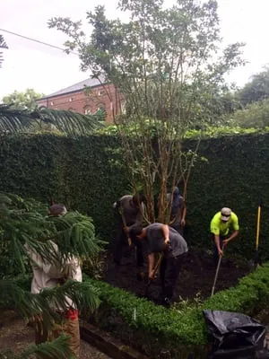 Crescent City Landscaping