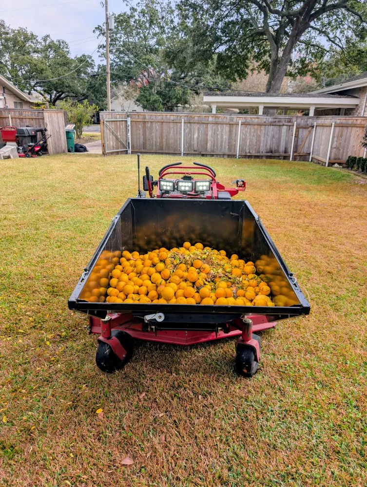 Professional yard maintenance in Metairie, LA - Crescent City Lawn And Landscaping