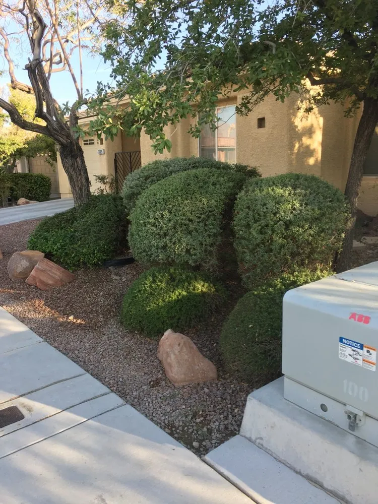Trusted landscape installation for beautiful yards in Henderson, NV by Crescent Landscape Management