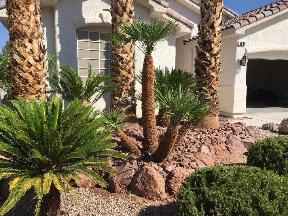 Expert residential landscaping in Henderson, NV by Crescent Landscape Management