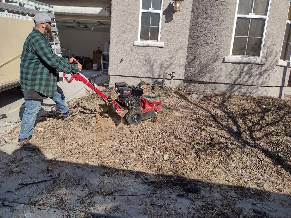 Expert landscaping services experts serving Henderson, NV - Crescent Landscape Management