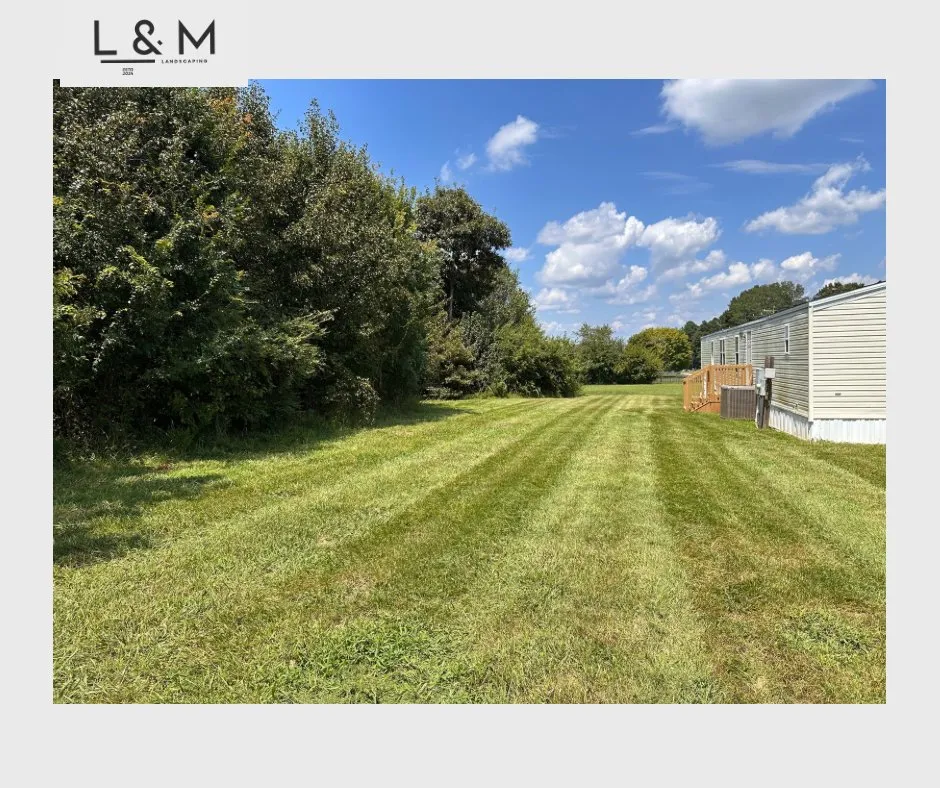 Professional yard cleanup service experts serving Chesnee, SC - Crescent Lawn Care