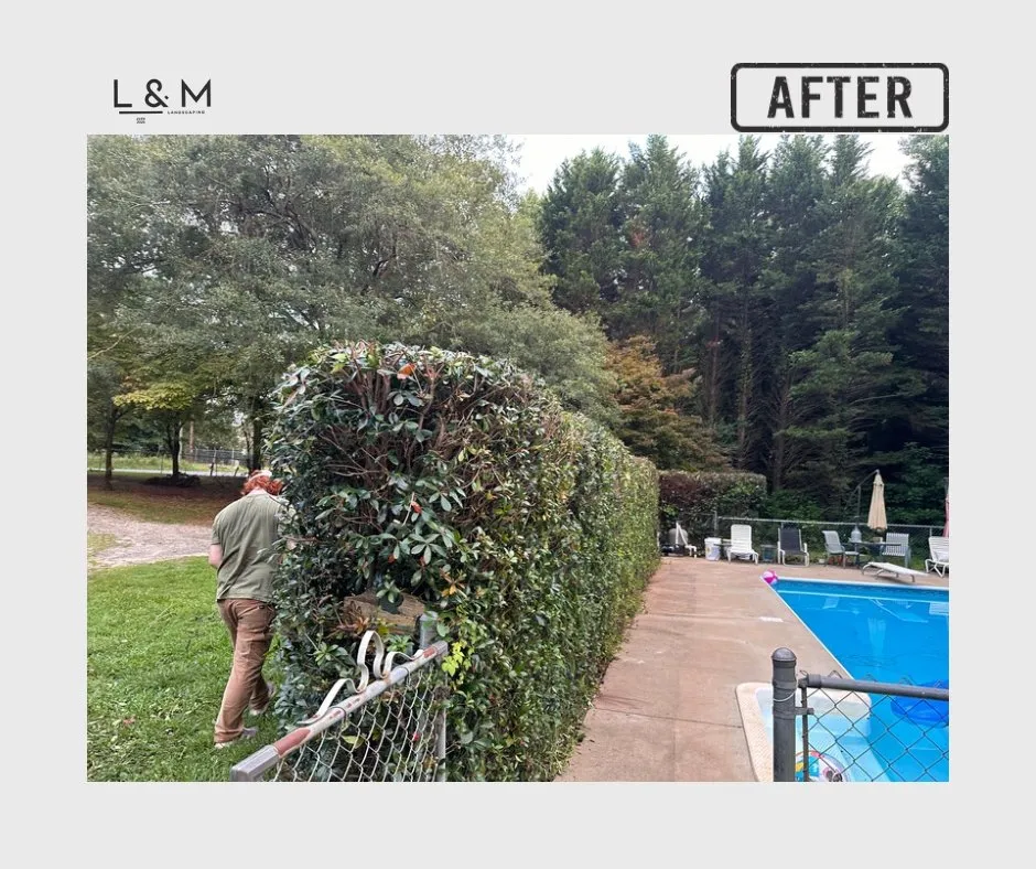 Reliable landscaping services experts serving Chesnee, SC - Crescent Lawn Care