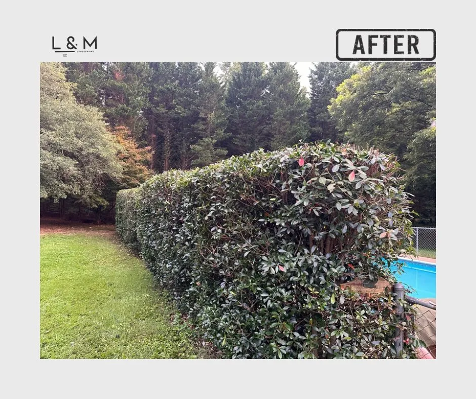 Expert landscape design experts serving Chesnee, SC - Crescent Lawn Care