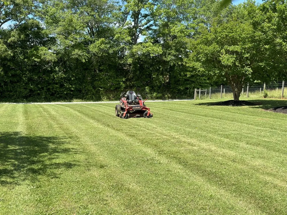 Affordable outdoor landscaping for beautiful yards across Chesnee, SC - Crescent Lawn Care