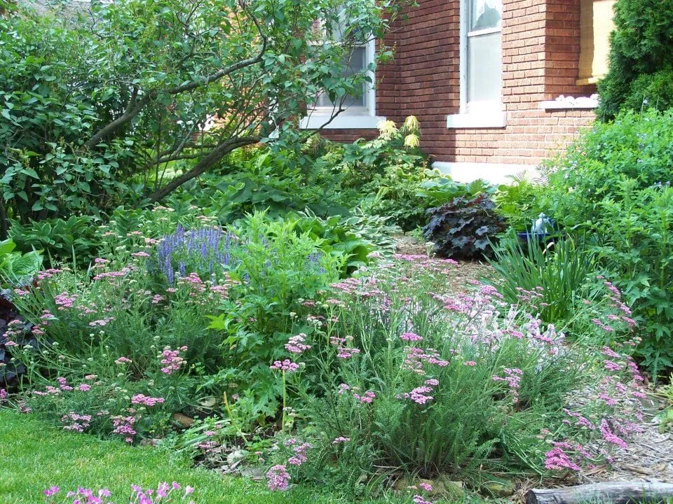 Custom landscape design for residential properties in Albany, WI by Crescent Moon Sustainable Gardening, LLC