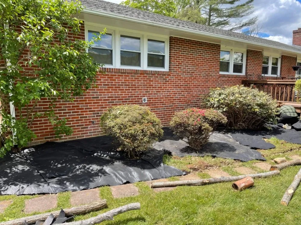 Expert yard cleanup service for beautiful yards in Elk Park, NC by Crescent Ridge Landscaping