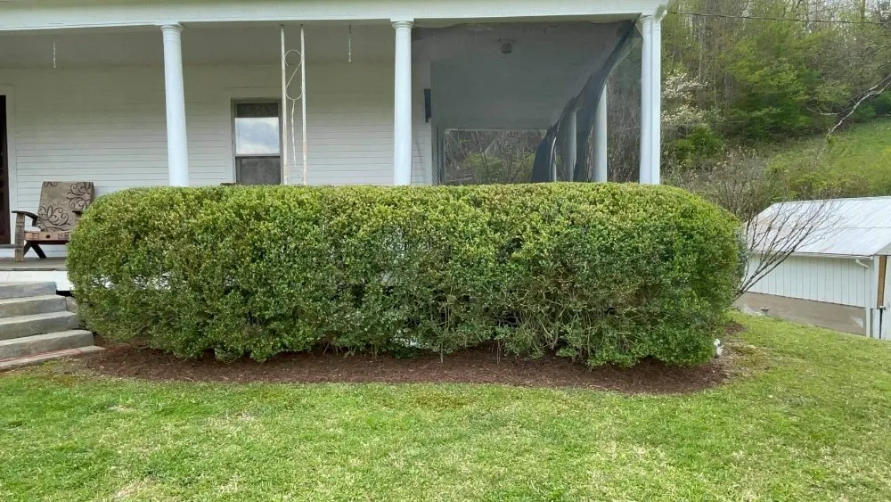 Local landscape installation near you in Elk Park, NC by Crescent Ridge Landscaping