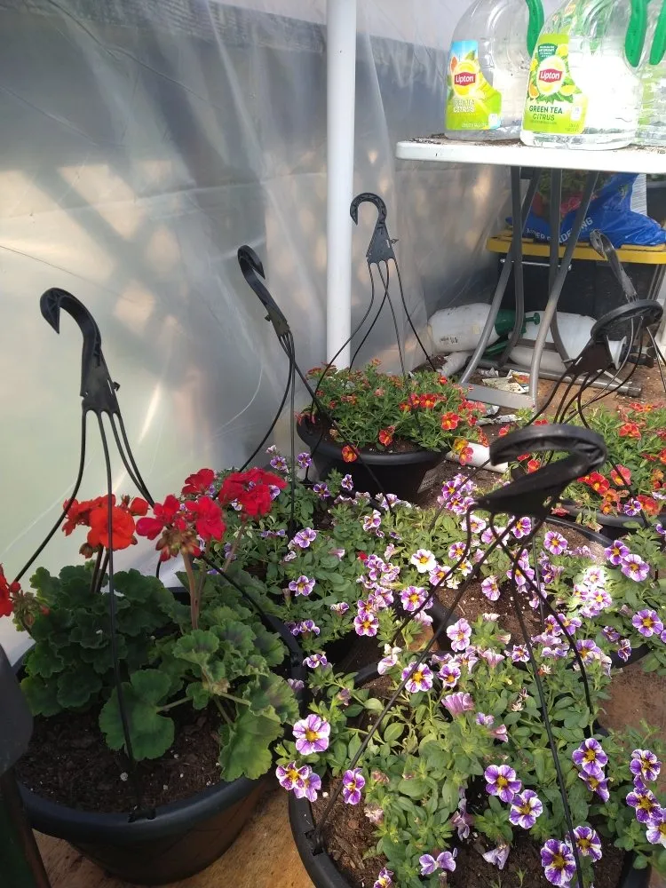 Local landscaping services in Elk Park, NC by Crescent Ridge Landscaping