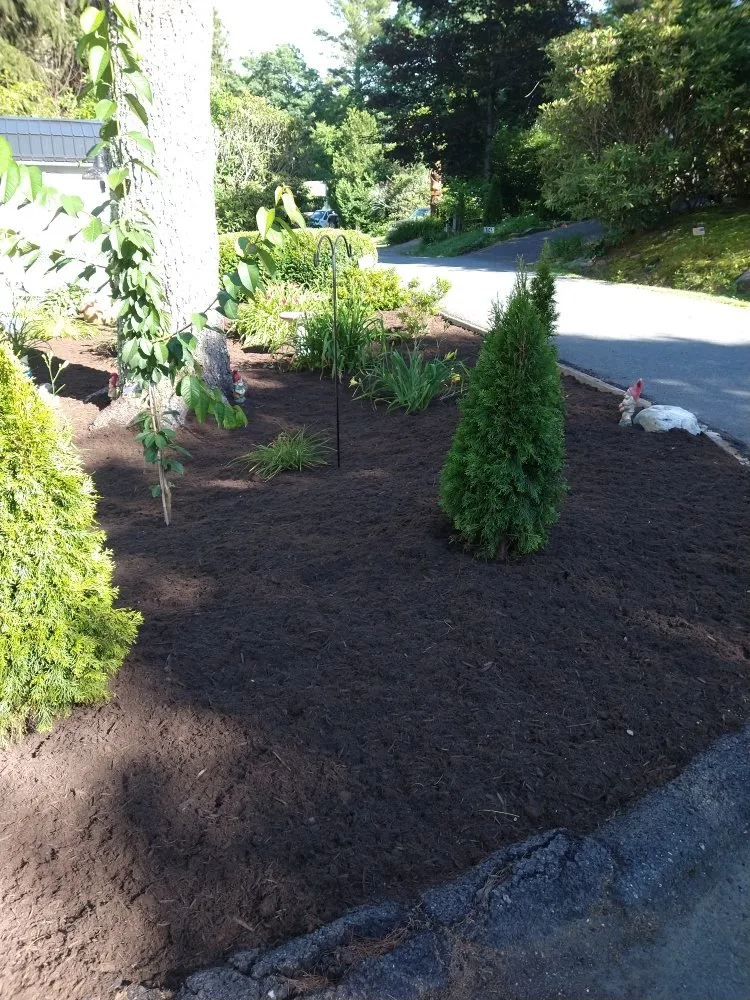 Top-rated lawn care service for residential properties across Elk Park, NC - Crescent Ridge Landscaping