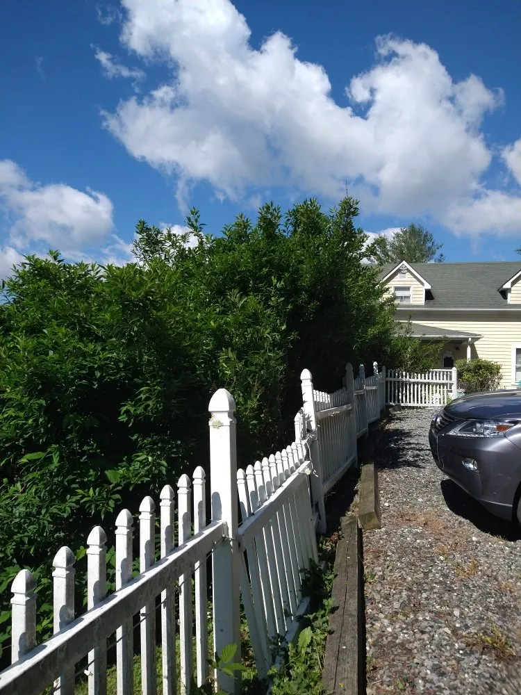 Affordable lawn care service in Elk Park, NC by Crescent Ridge Landscaping
