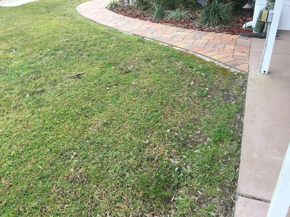 Trusted landscape design experts serving Crescent City, FL - Crescent Termite & Pest Control