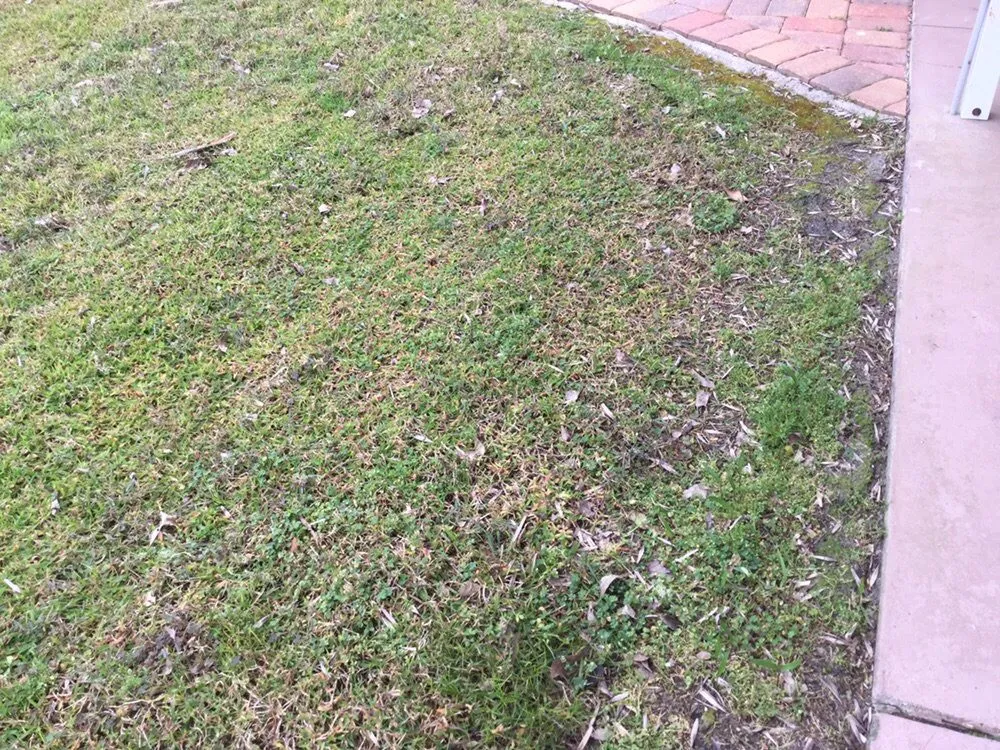 Affordable landscape design in Crescent City, FL by Crescent Termite & Pest Control