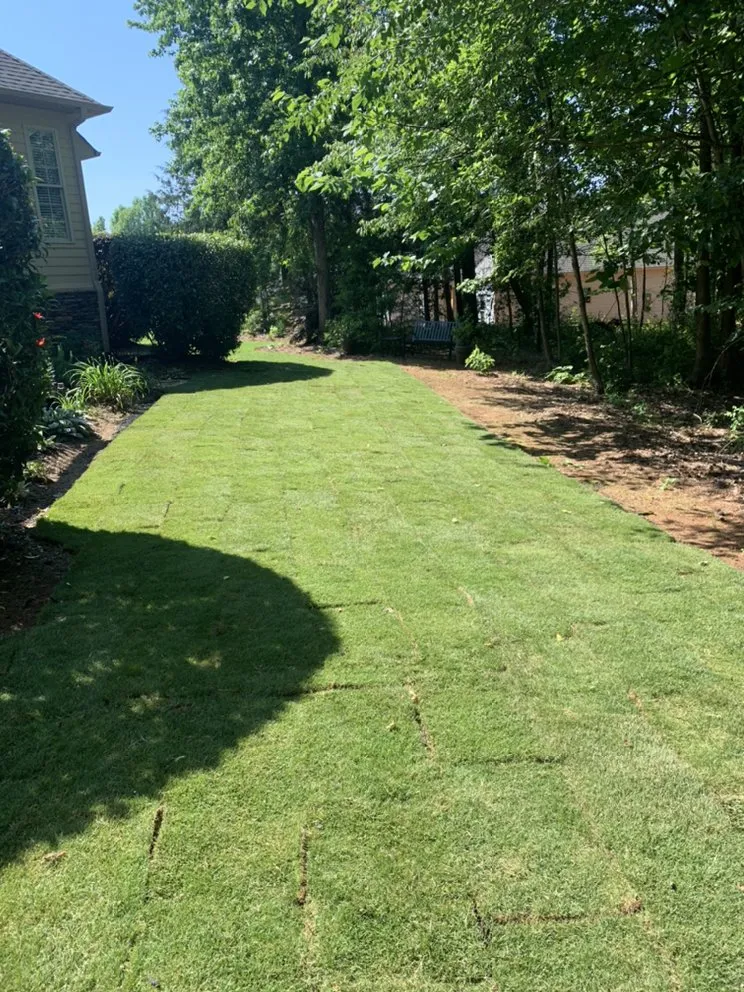 Local landscape installation for beautiful yards in Spartanburg, SC by Crescent View Landscapes