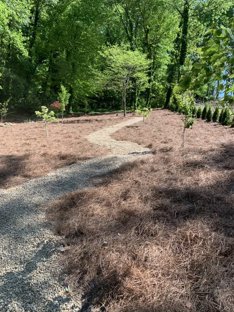 Custom yard cleanup service in Spartanburg, SC - Crescent View Landscapes
