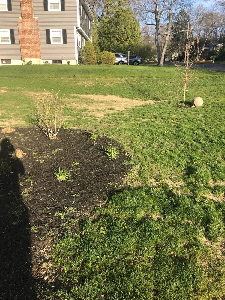 Professional yard cleanup service near you across Burlington, MA - Crescio Landscaping