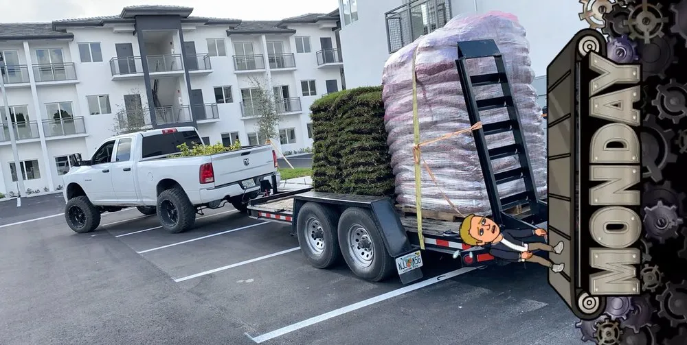 Professional yard cleanup service experts serving Miami, FL - Crespo Landscaping