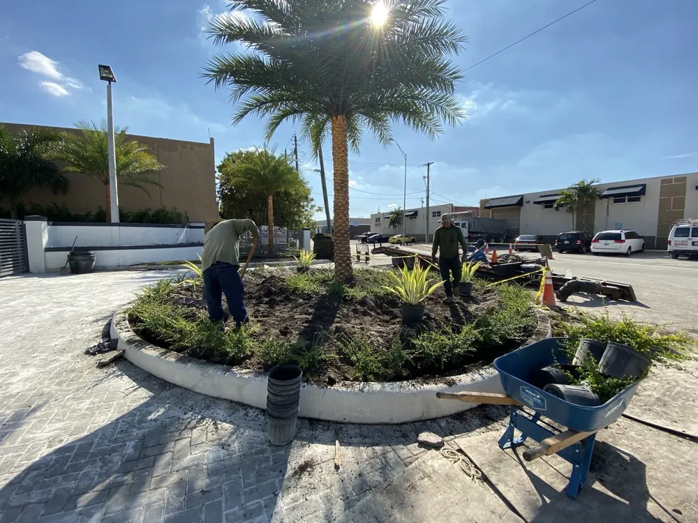 Professional lawn care service in Miami, FL - Crespo Landscaping