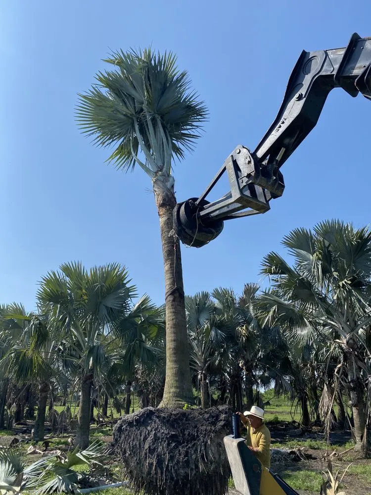 Expert garden landscaping with custom design across Miami, FL - Crespo Landscaping