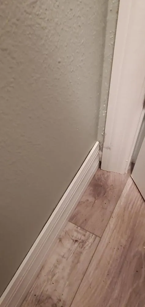 Expert lawn care service in Inverness, FL by Crespo Repairs