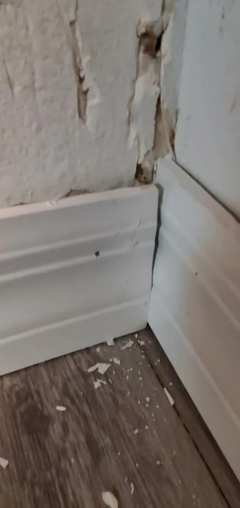 Professional yard maintenance experts serving Inverness, FL - Crespo Repairs