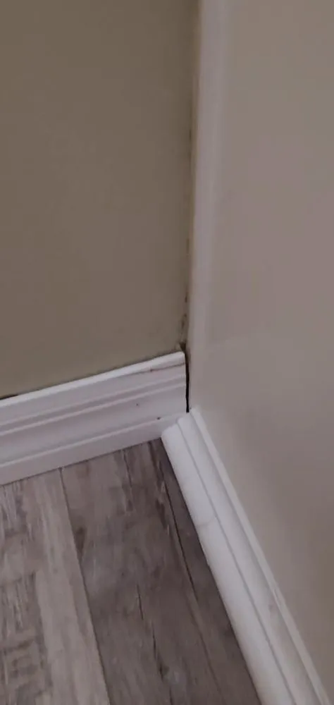 Expert yard cleanup service for outdoor upgrades in Inverness, FL by Crespo Repairs