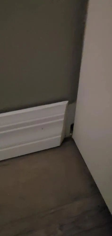 Trusted lawn care service in Inverness, FL by Crespo Repairs